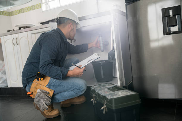 Best Clogged Drain Plumber  in Virginia, IL