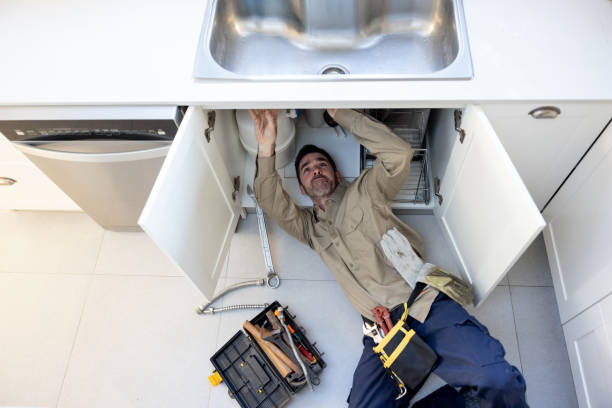 Best Toilet Repair Services  in Virginia, IL