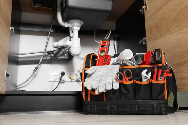 Best Local Plumber Services  in Virginia, IL
