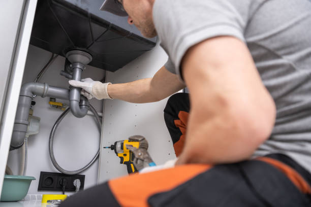 Best Shower Repair Services  in Virginia, IL