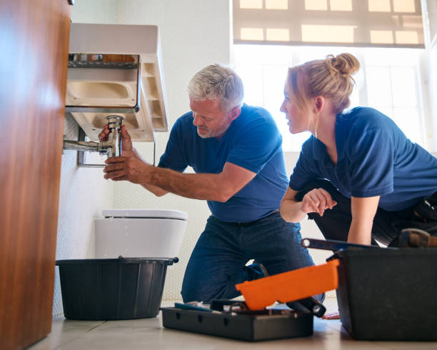 Best Shower Repair Services  in Virginia, IL